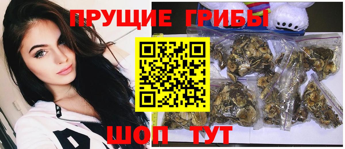 Галлюциногенные грибы мицелий Лабытнанги